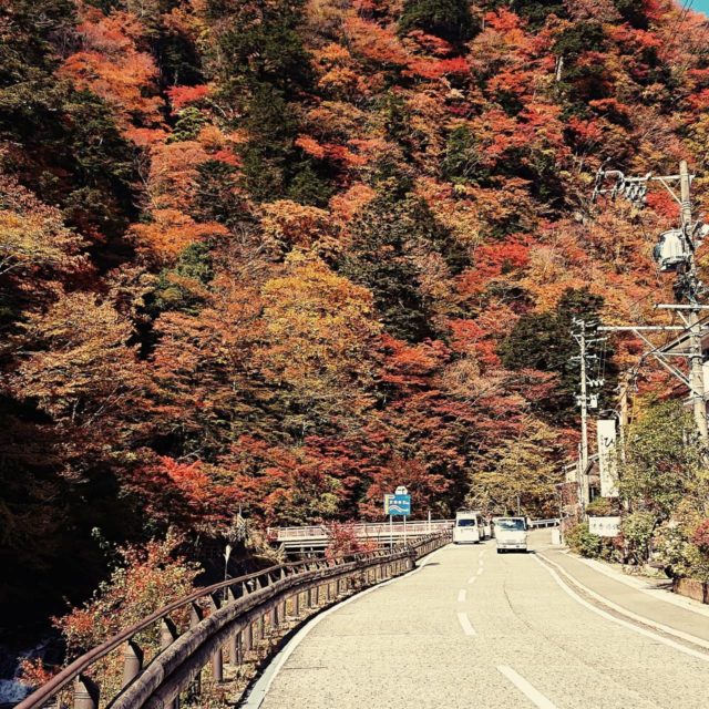 湯の宿いちかわ 梅ヶ島温泉 公式サイト